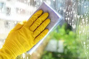 expert nettoyage vitre sur paris