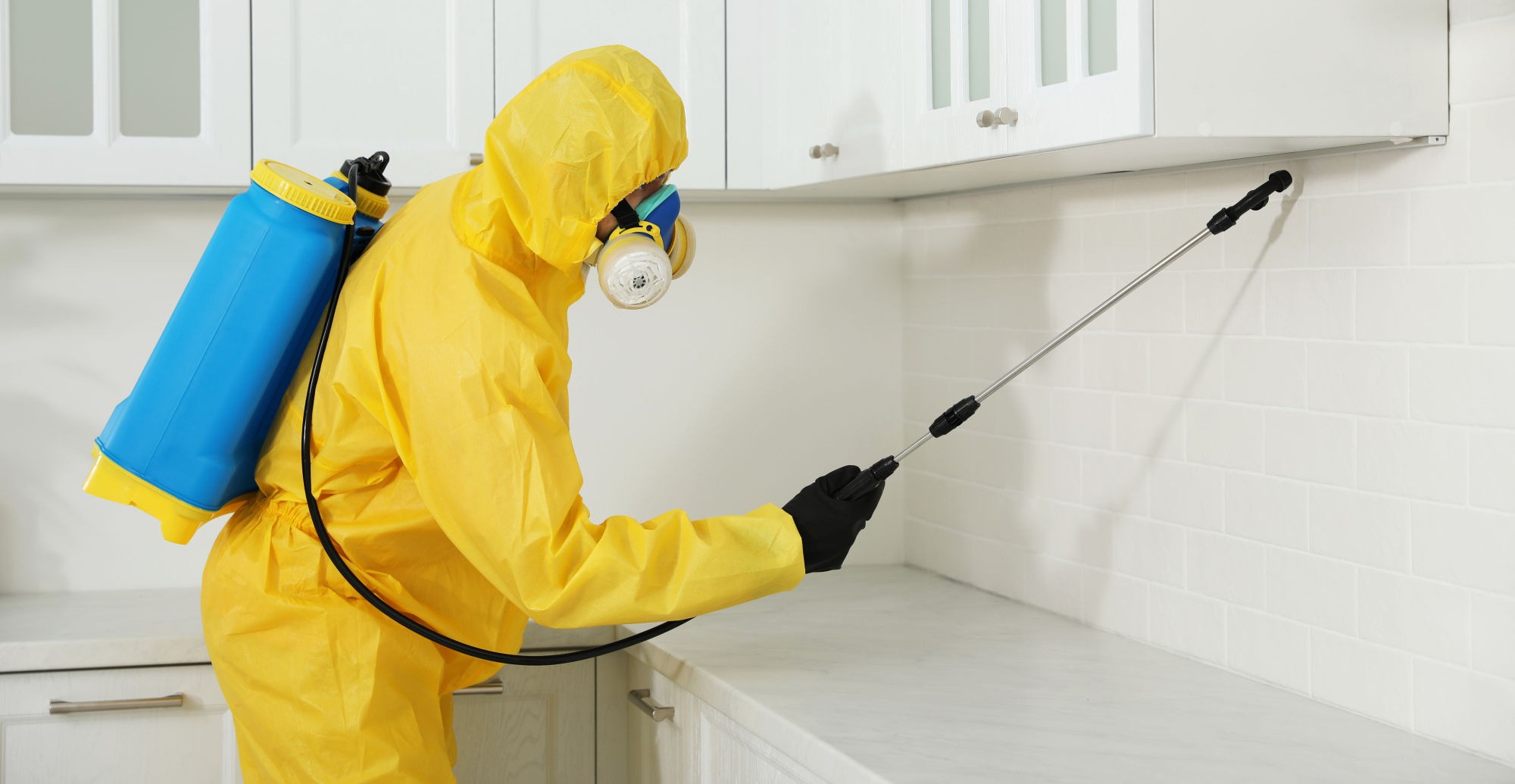 Traitement professionnel contre les nuisibles en entreprise Élimination d'une infestation de rats et cafards par expert certifié avec station d'appâtage sécurisée en Île-de-France